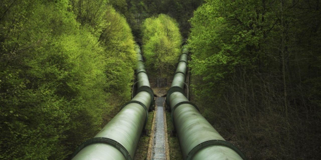 Pipelines in forest